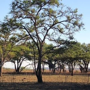 Meet your Posher, Avelyn